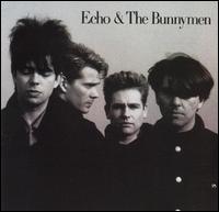 Echo and The Bunnymen